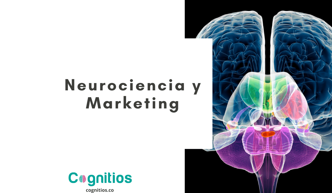 Neurociencia y marketing