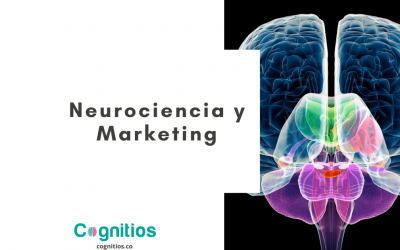 Neurociencia y marketing